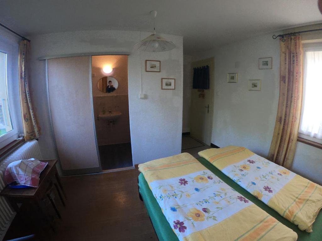 Lucky Duck room 2